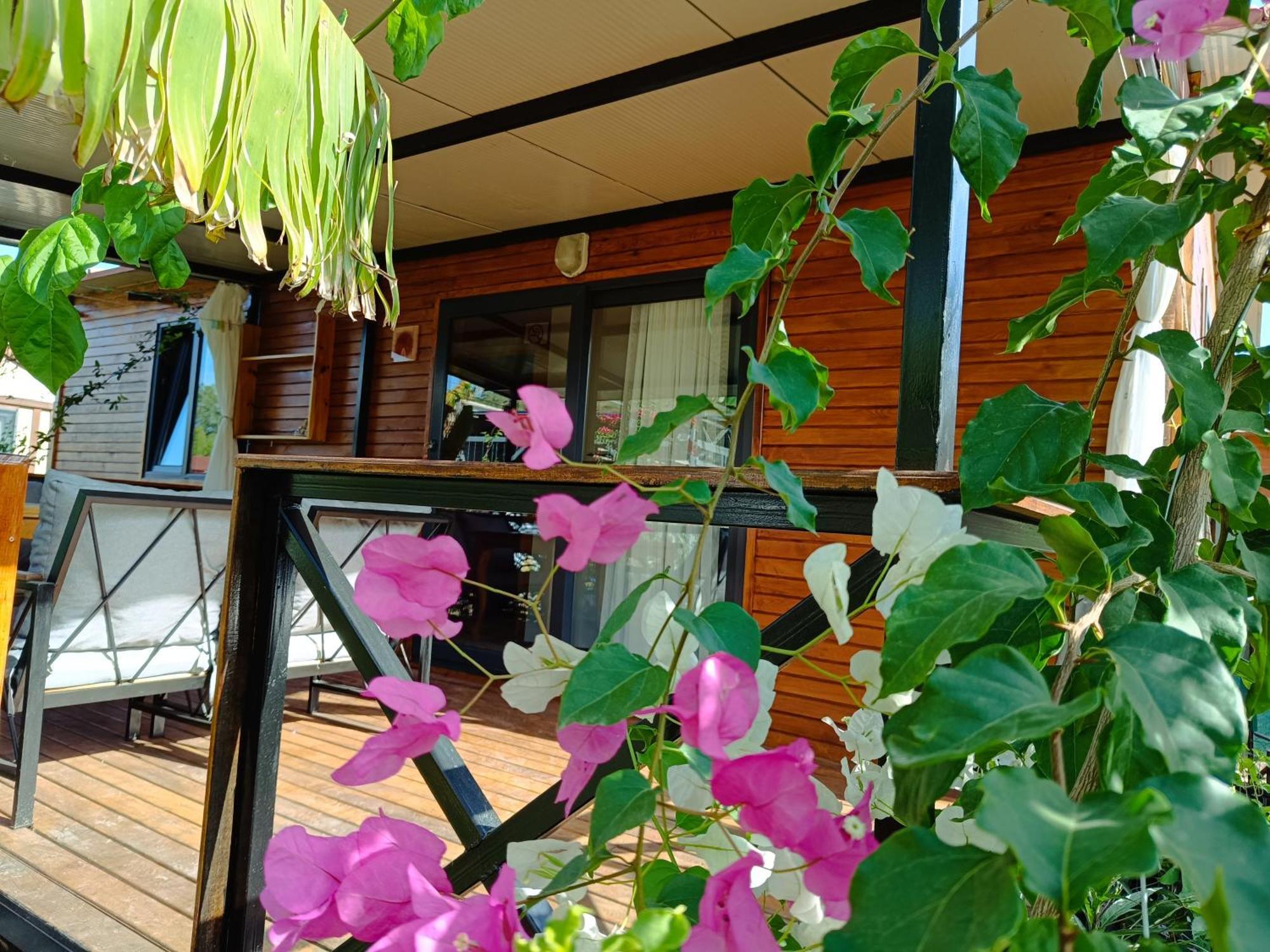Arlin Bungalows ケメル 部屋 写真